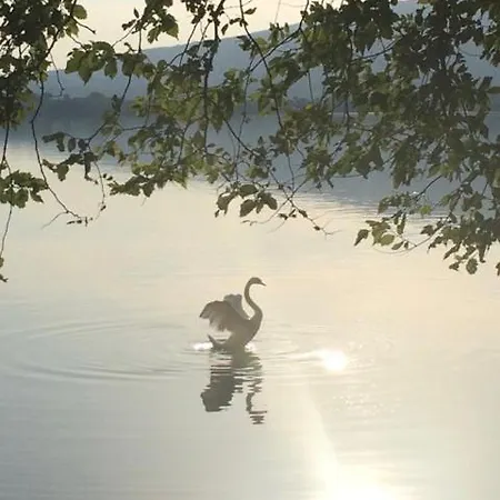 ベッド・アンド・ブレックファスト Il Portico Del Conte Bosisio Parini