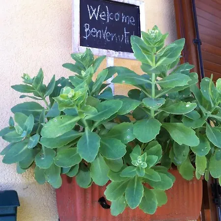 Il Portico Del Conte Couette-café 3*