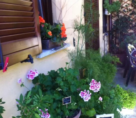 Il Portico Del Conte לינה וארוחת בוקר Bosisio Parini