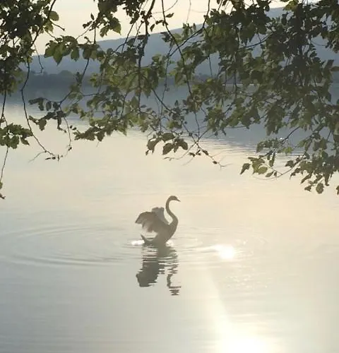 לינה וארוחת בוקר Il Portico Del Conte Bosisio Parini